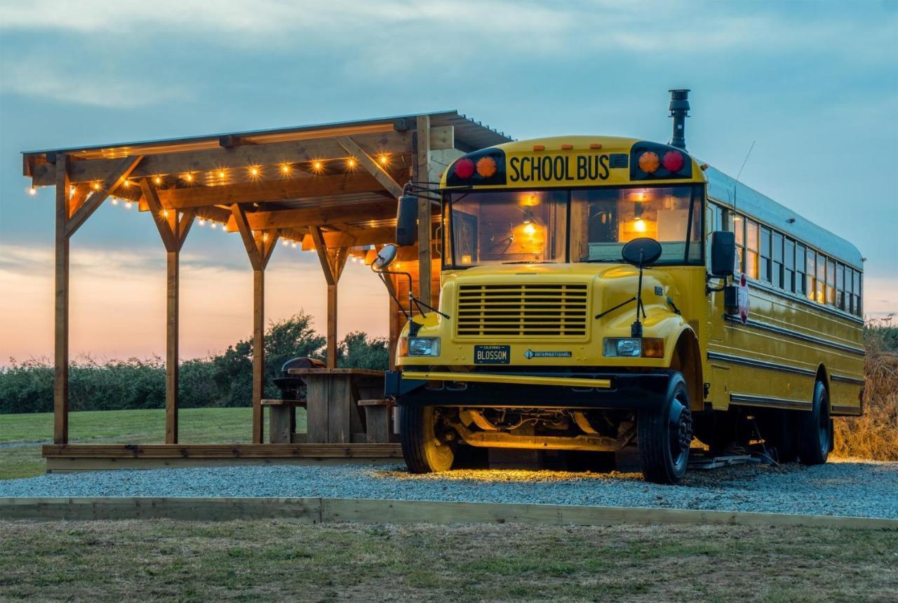 American School Bus - 1 Bedroom - Blossom Farm - Tiers Cross Johnston Exterior photo