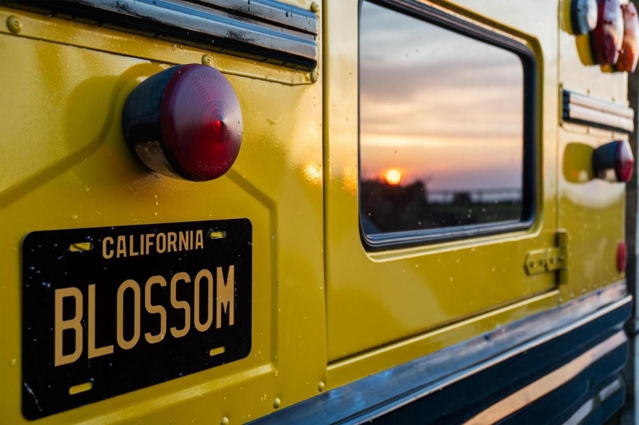 American School Bus - 1 Bedroom - Blossom Farm - Tiers Cross Johnston Exterior photo